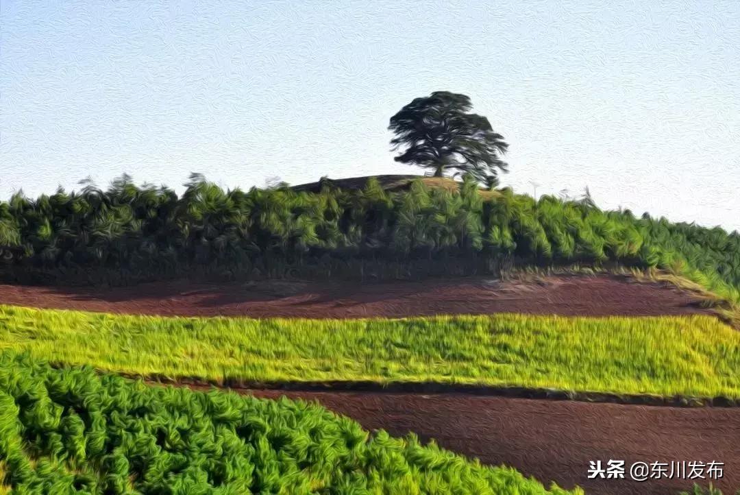 云南东川上帝打翻的调色板,东川红土地主要景点