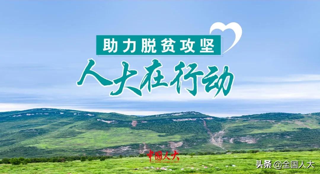 四川人大：“蜀味”立法监督助脱贫