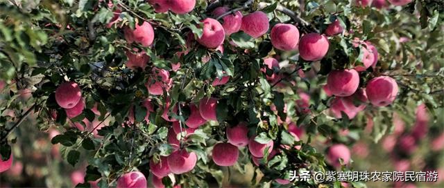 遵化有山有水的农家院,遵化美丽农家院