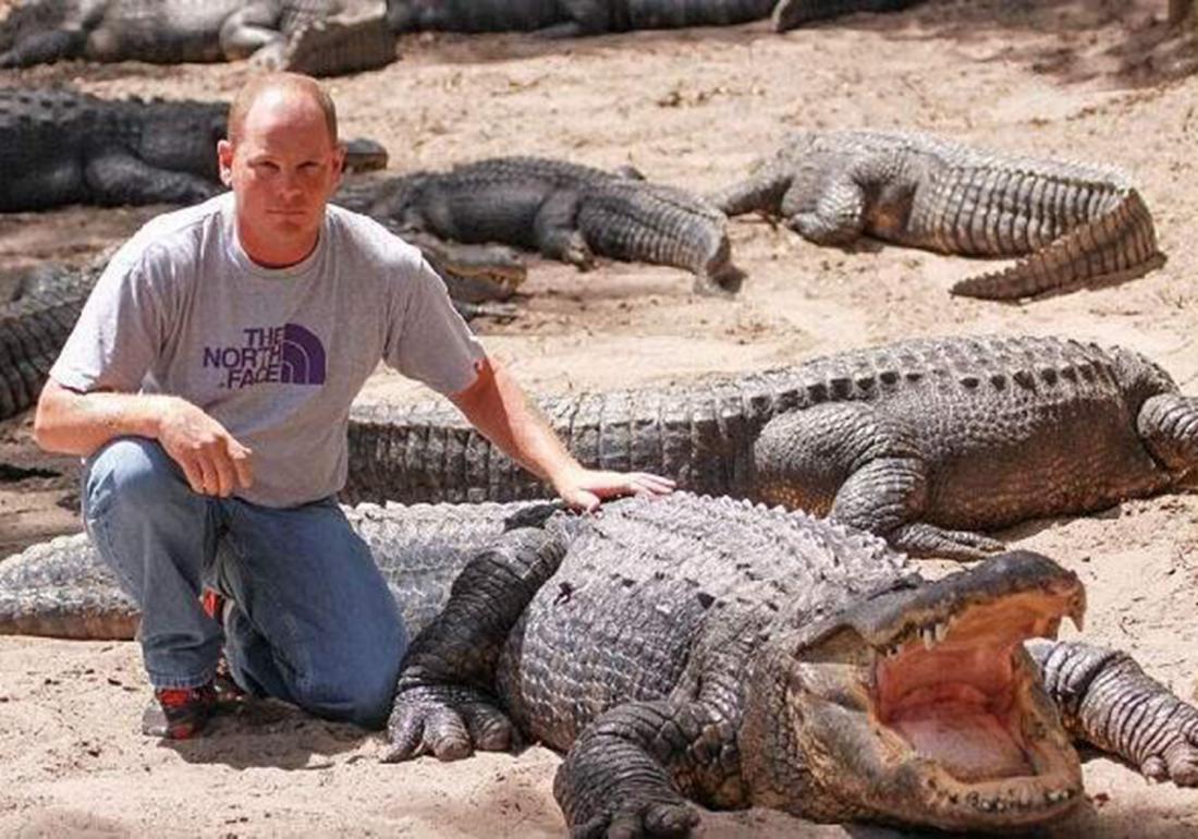 鳄类养殖技术,鳄龟养殖注意事项视频大全