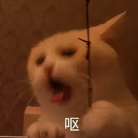 猫咪最适合哪种猫包,透明猫包对猫咪有哪些不好