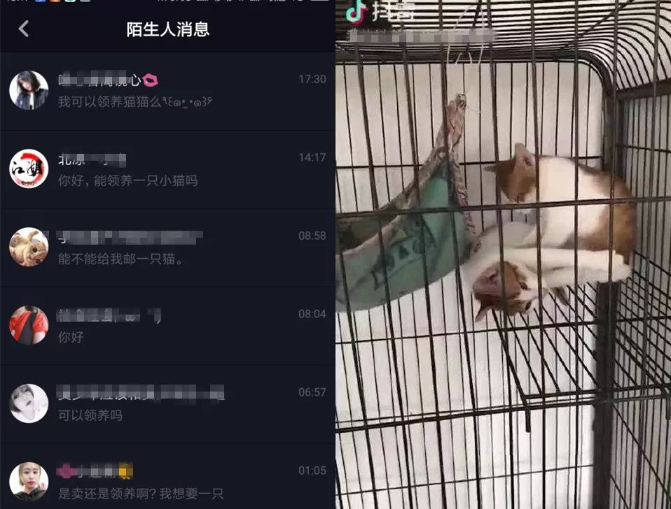 新型诈骗最新套路直播,盐城反诈骗直播