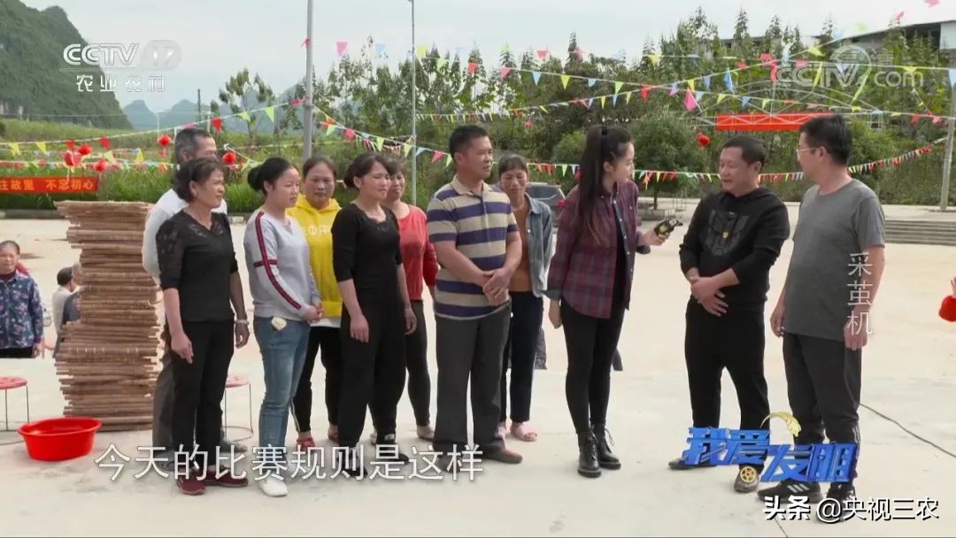 高效蚕茧脱茧机,养蚕取茧机器多少钱一台