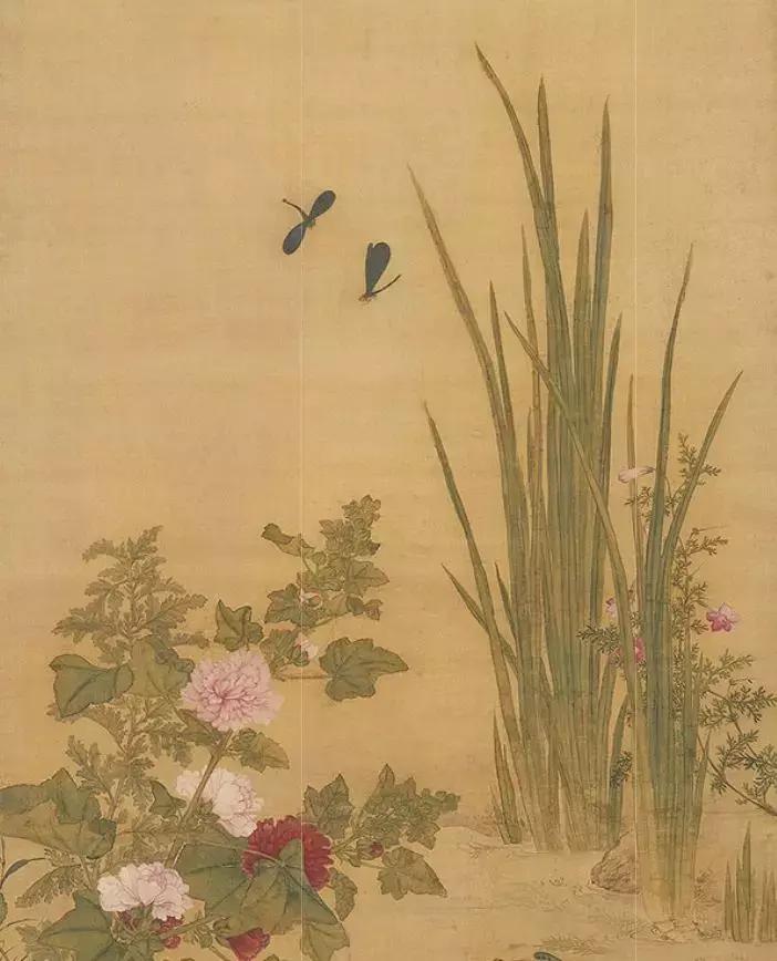 菖蒲:神仙之仙草,文人之雅草。