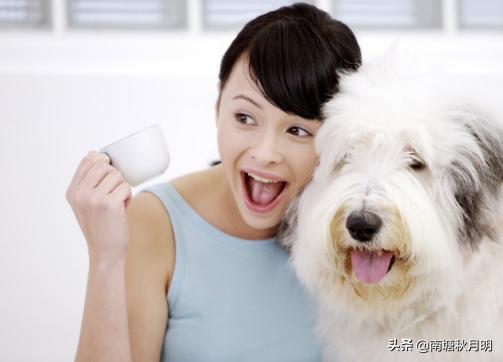 做决定和作决定的区别,用做和作的区别