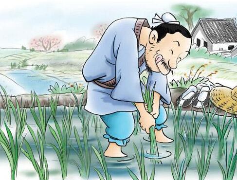 有关催婚的故事,催婚那些事完整版