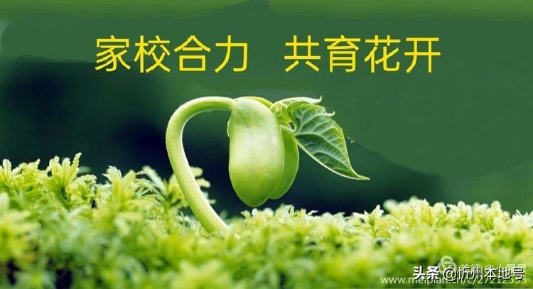 齐相聚,话成长——忻府区团结路小学家校共建助力成长