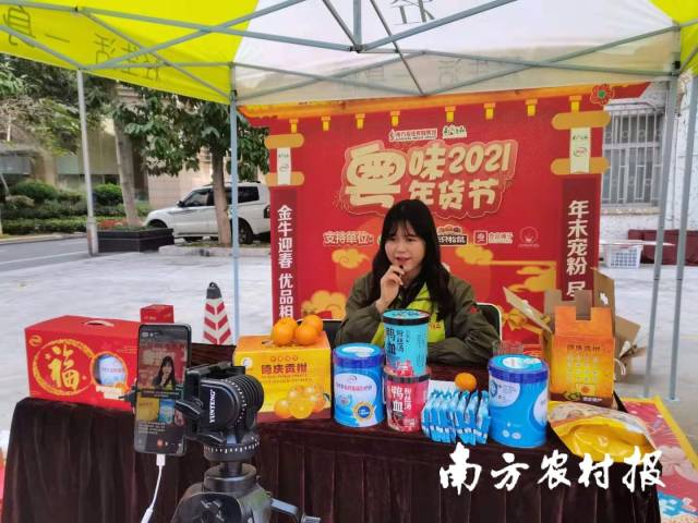 德庆贡柑之乡,德庆贡柑高端礼盒