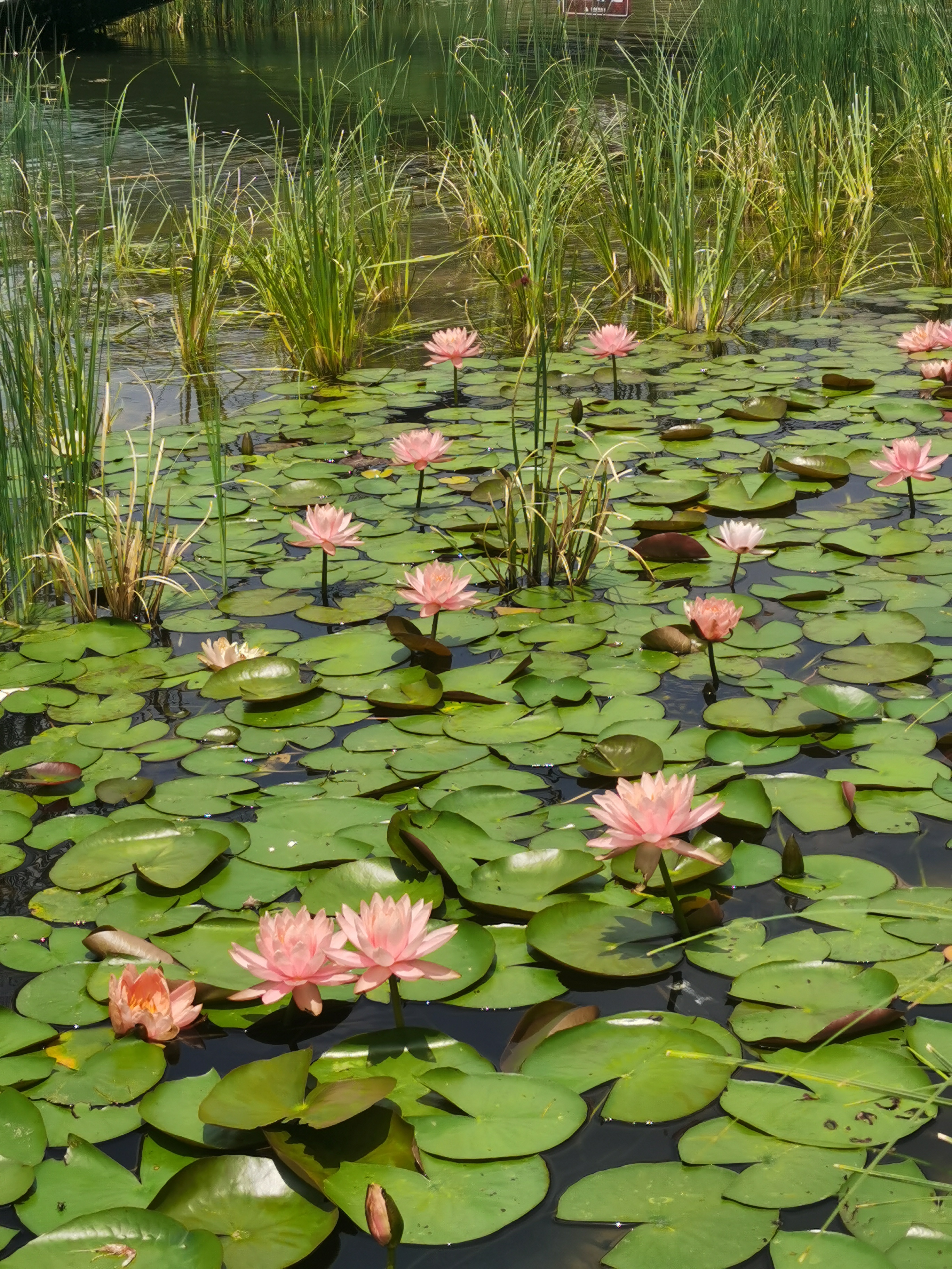 化腐朽为神奇的创作,化腐朽为神奇玉雕作品