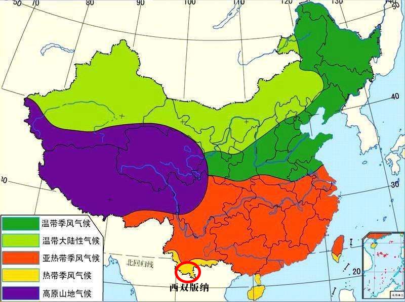 西双版纳热带雨林就是原始森林吗,西双版纳离城区近的原始沟谷雨林