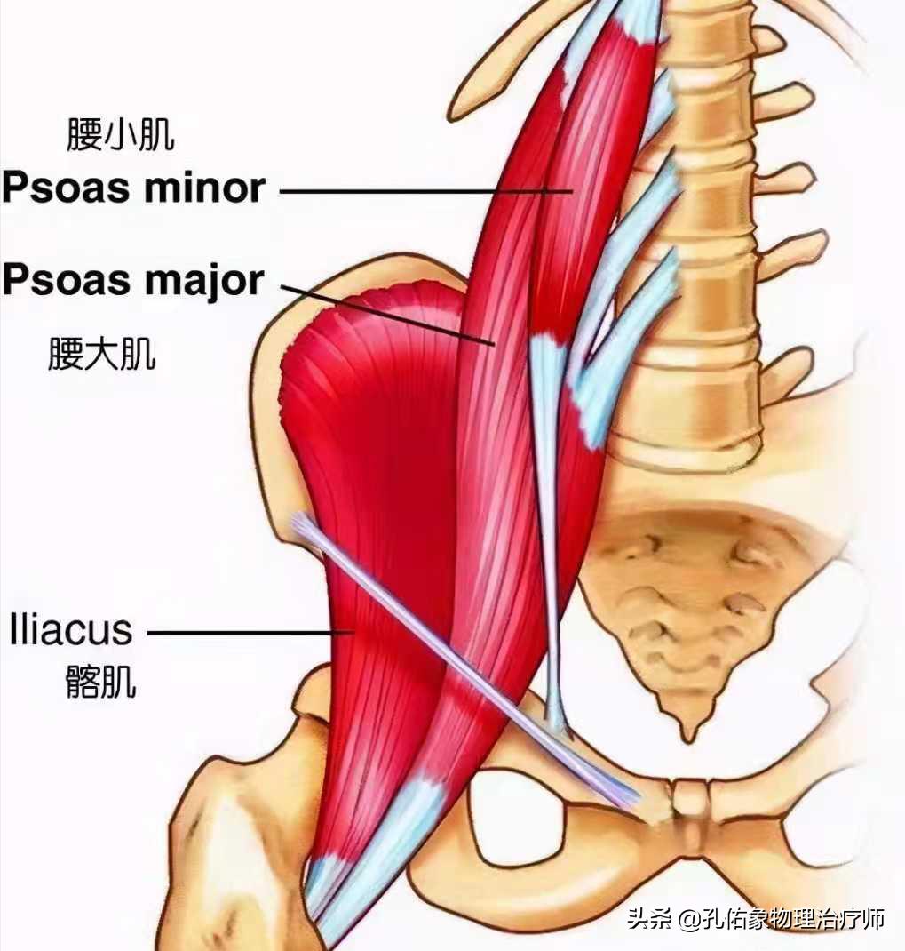 孕妈妈产后为什么会腰痛,产后三个月的宝妈腰酸腰疼咋回事