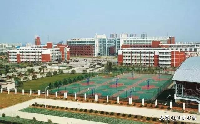 湖北前十名高考状元是谁,湖北高考历届状元学校排名