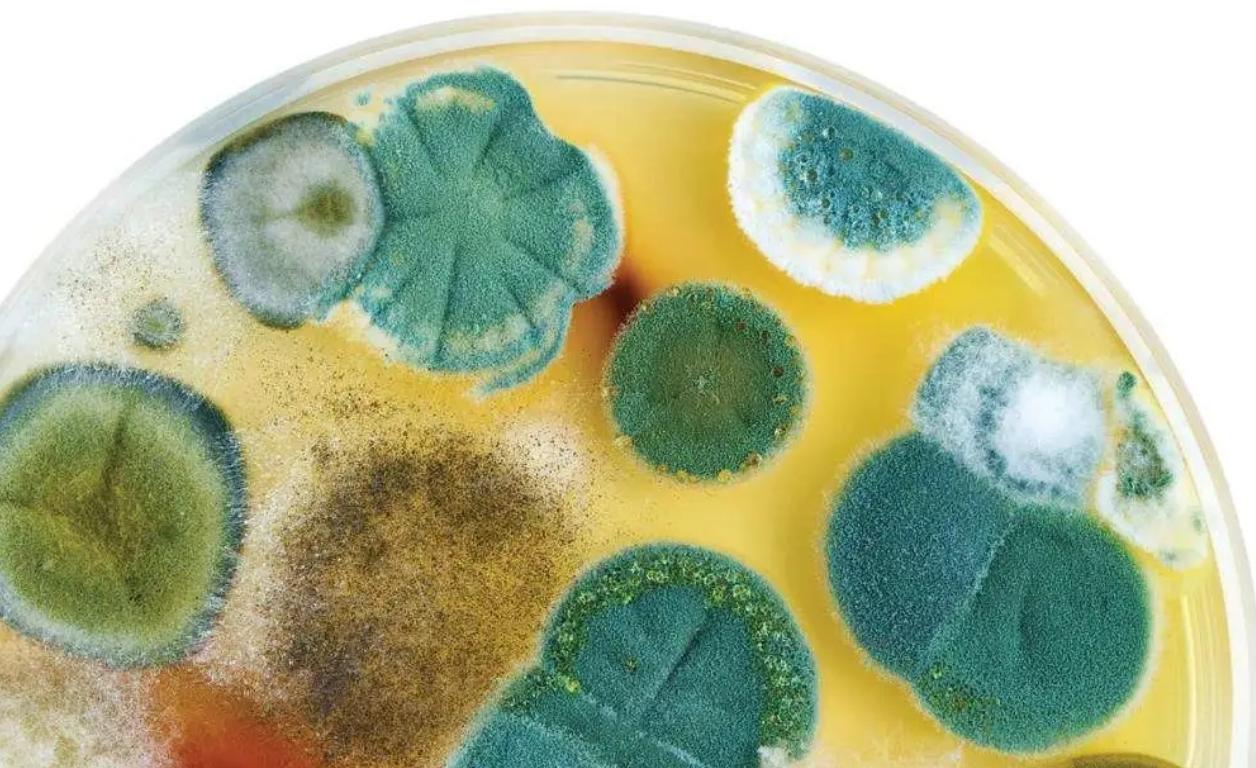 国际空间站出现轻微空气泄漏,国际空间站空气泄漏危害