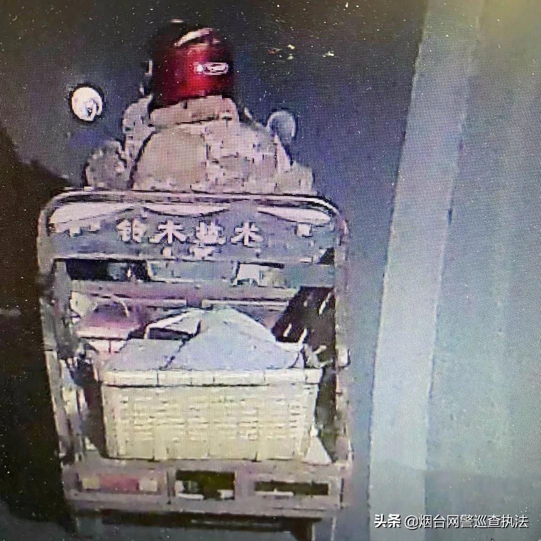 月黑风高偷猪崽，蜀黍叫你“赔了夫人又折兵”！