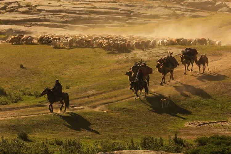 迁徙的家园，马背上的诗