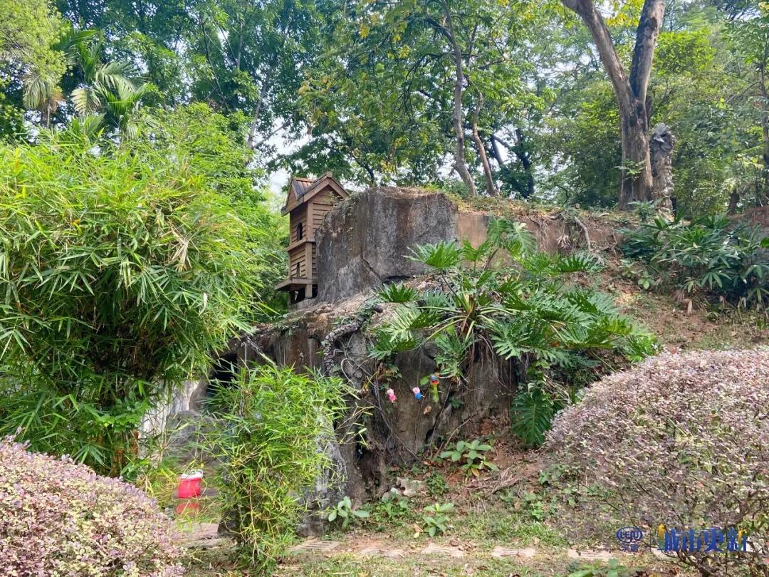 广州动物园什么时候搬迁,广州动物园搬迁