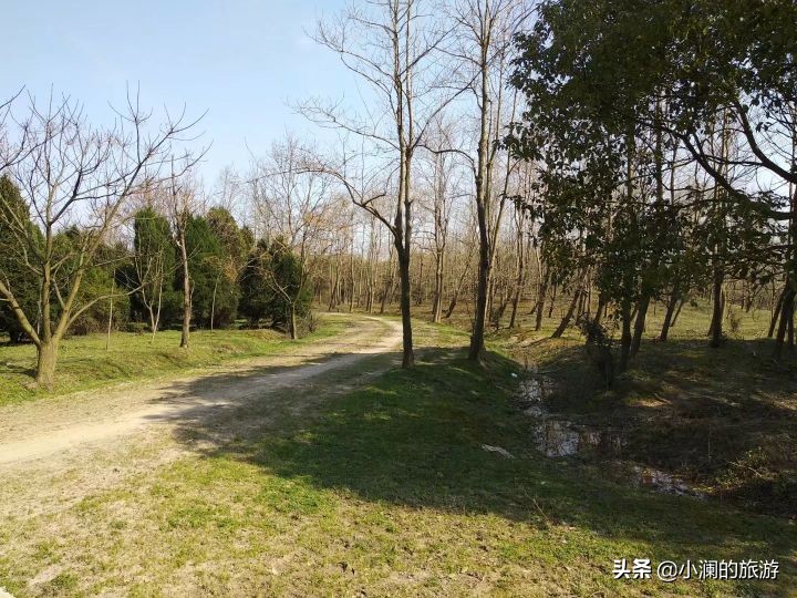 最大的上海森林公园,在上海郊区一座低调的森林公园