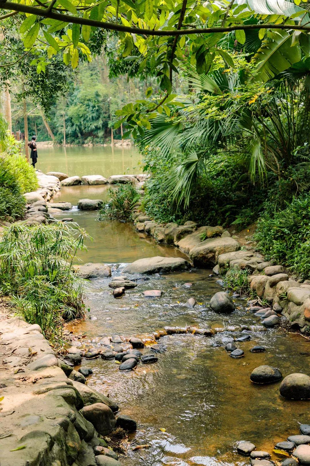 深圳十大一日游景点,深圳十大免费公园景点大全