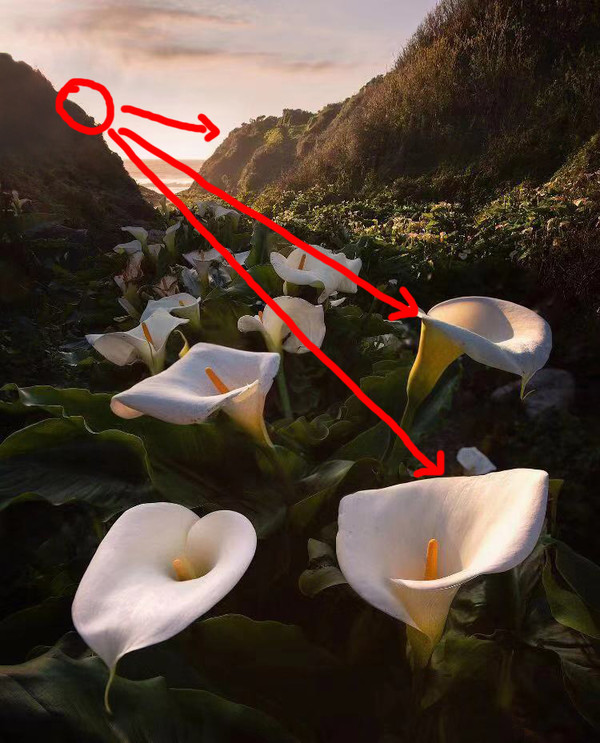 秘籍----移日*法大**