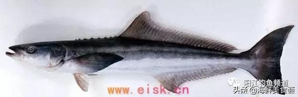 中国本土最便宜的鱼10种,哪些鱼档次又高又便宜