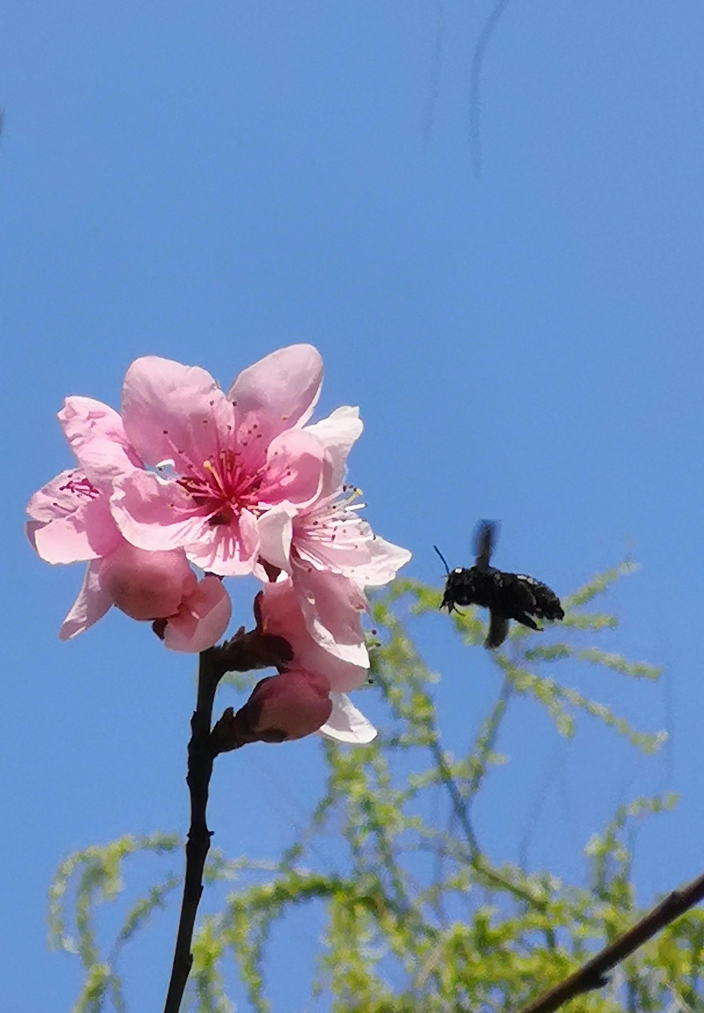 手机摄影作品集大全集,手摄世界