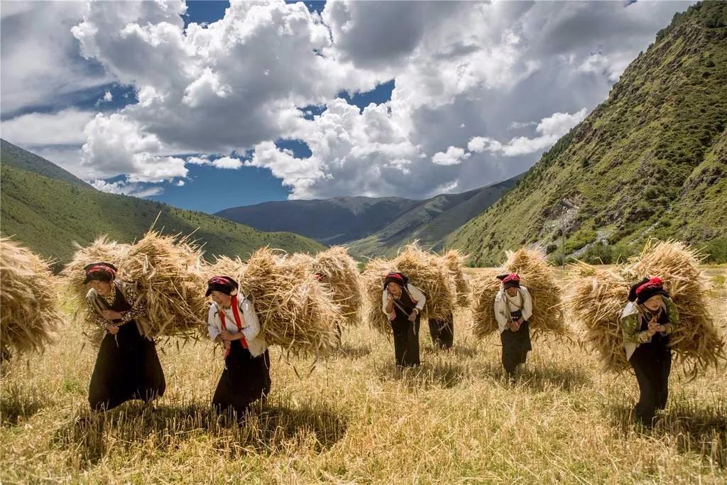 藏族特色食物和物品,藏族食物特产素食有哪些种类