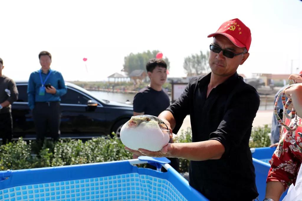 曹妃甸餐厅推荐,曹妃甸美食攻略大全