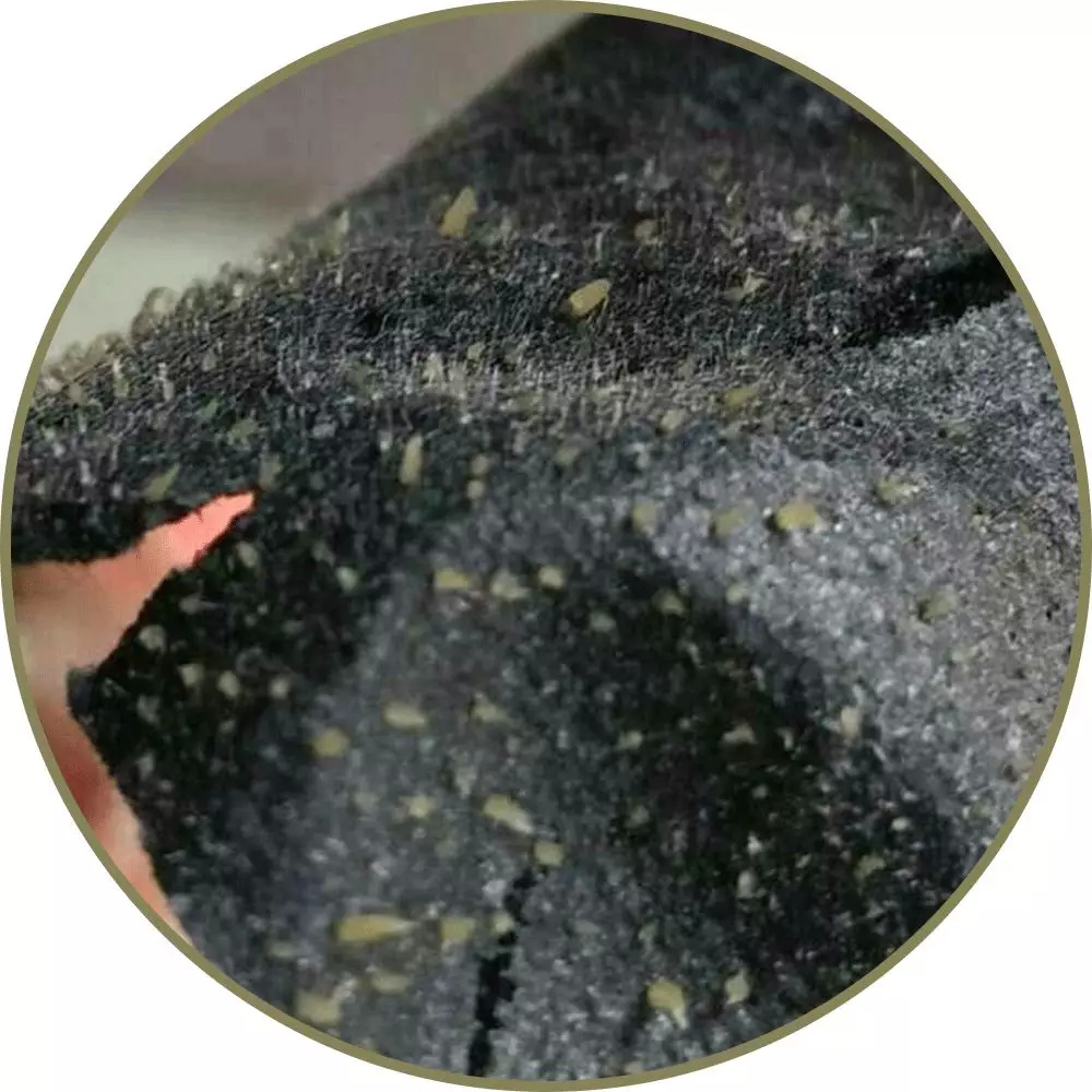 靠谱的去黑头方法,公认最有效的去黑头方法