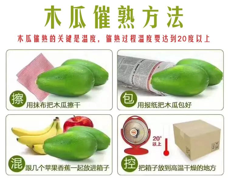 云南奶油红心木瓜,正宗爆甜云南红心木瓜