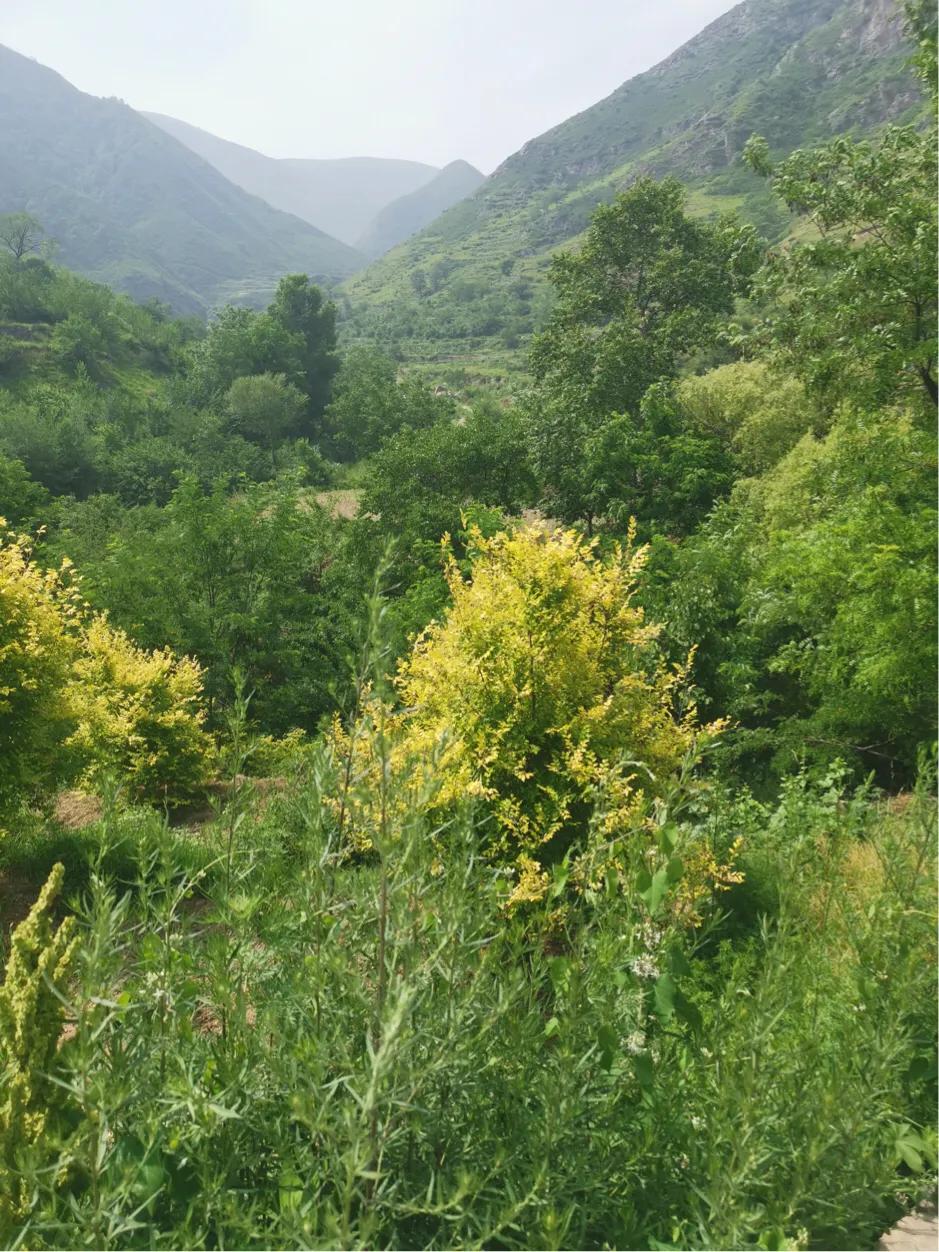 山西自驾游大同出发,山西自驾5天最佳路线图大同出发