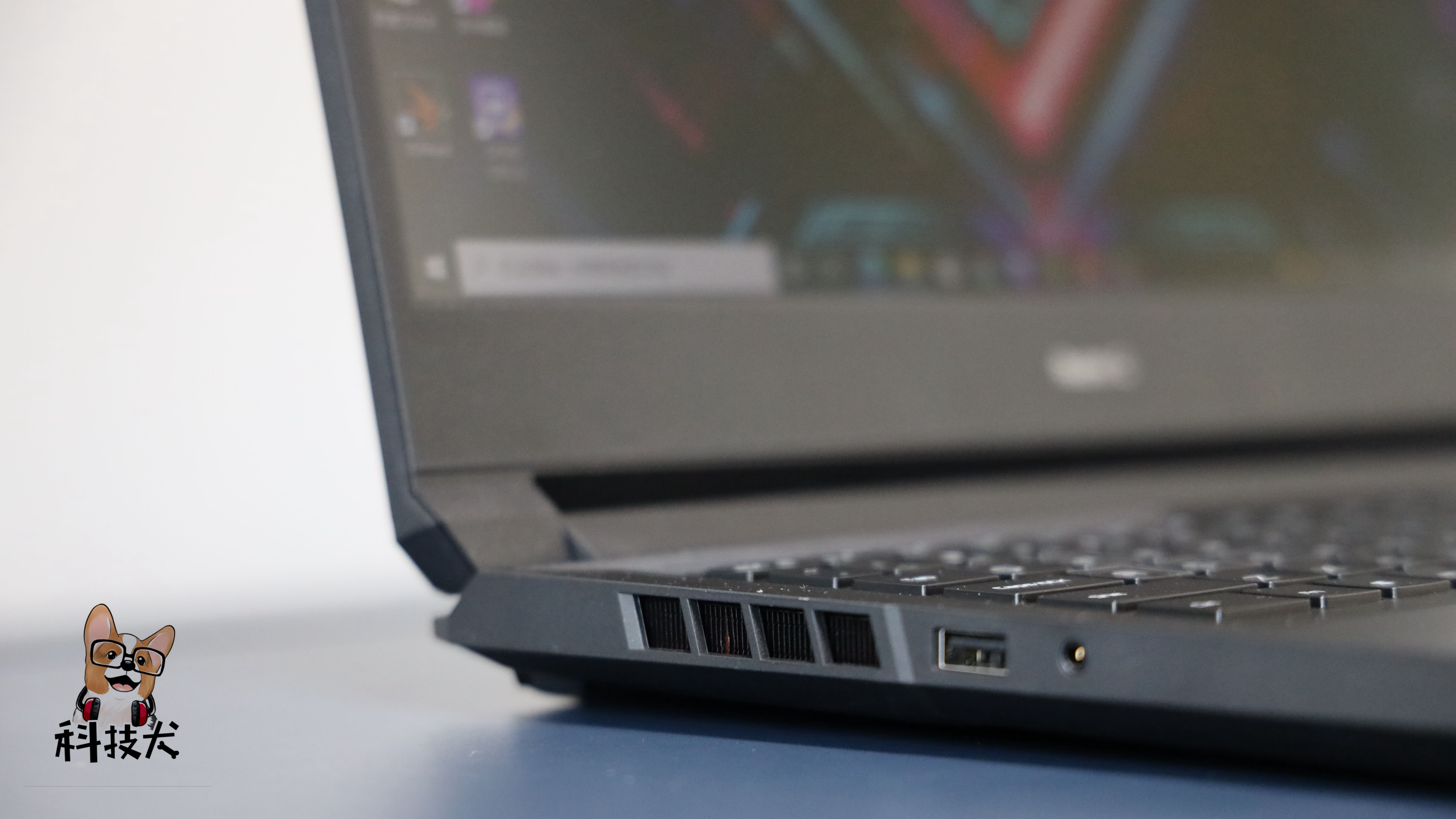 柯基狗幼犬多少钱一只,柯基犬最值得买的耳机