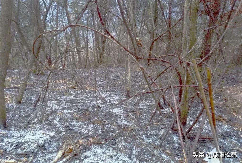 2018年最高人民检察院1号检察建议,人民检察院检察建议规则解读