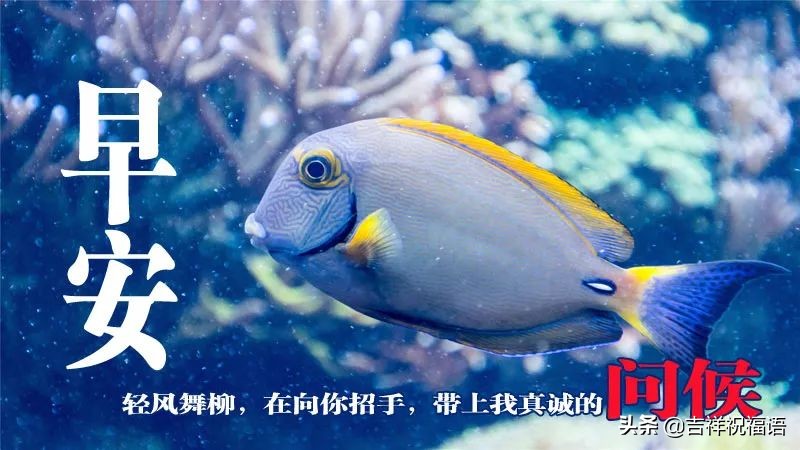 早晨问候语早上好微信短语,清晨最新早上好问候祝福语句