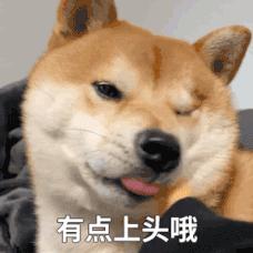 涂磊卖张裕,涂磊老师卖的红酒