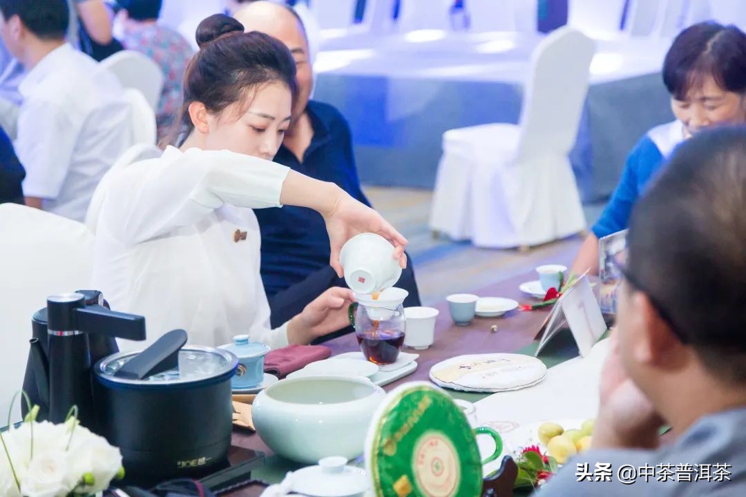 中茶翡翠白菜新品发布会,中茶八八青饼发布