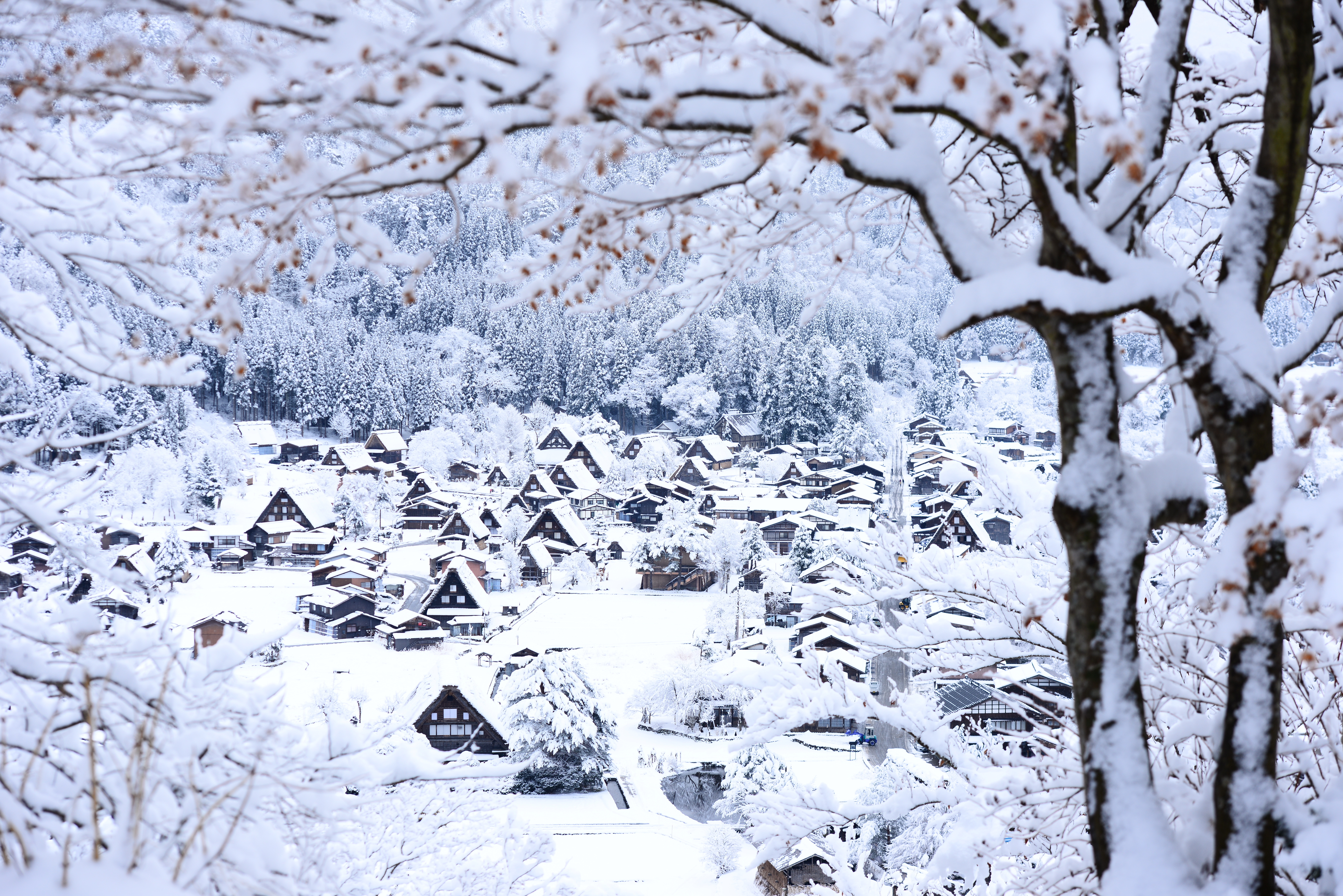 泡温泉追求的是惬意,泡温泉享受安静和独处