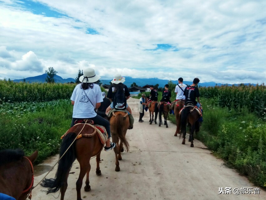 茶马古道拉市海骑马的十个景点,第一次骑马游记