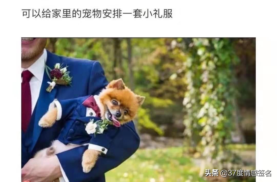 设计感满满的小众婚礼,中式小众婚礼高级创意