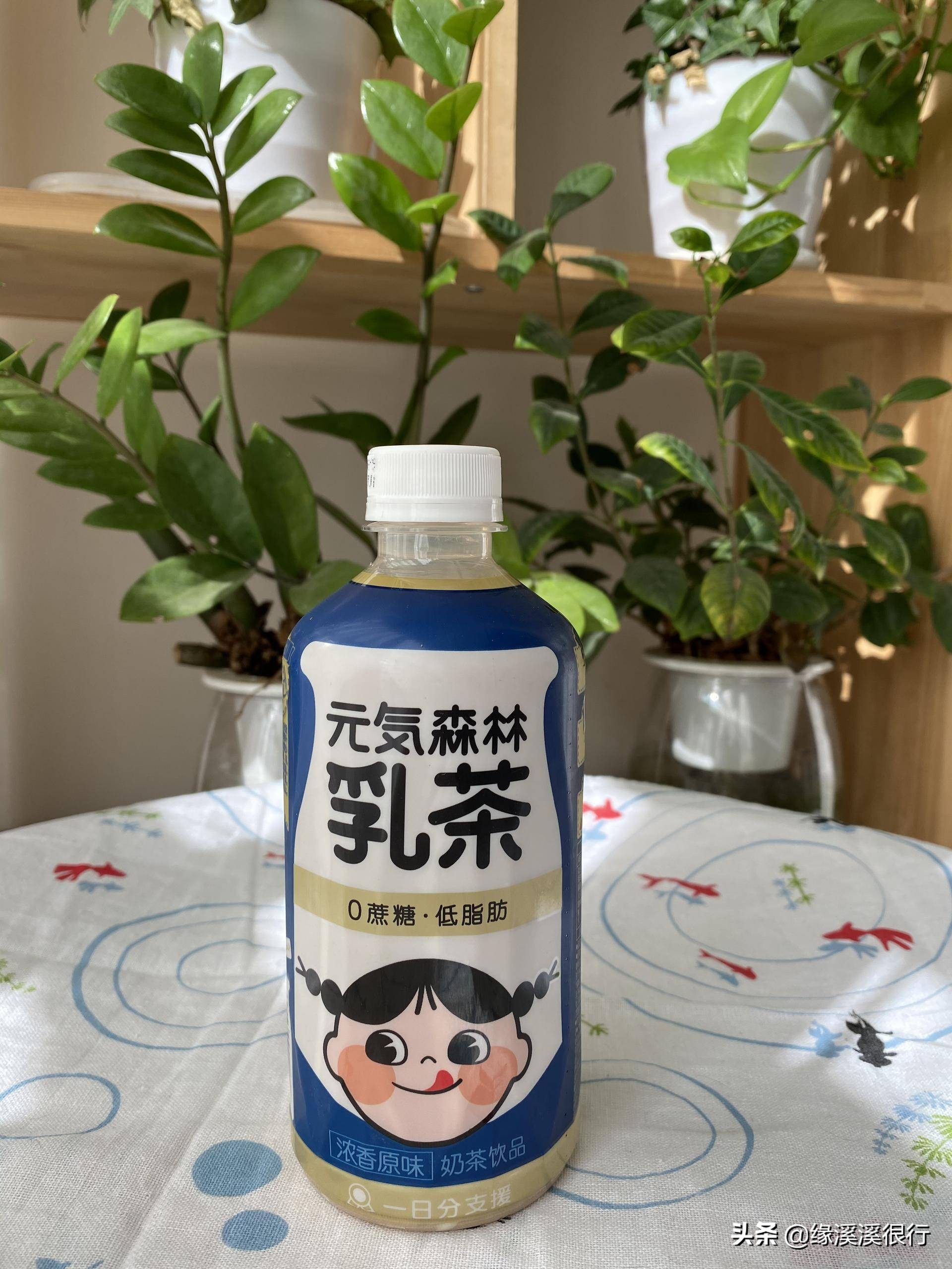 减肥期间可以喝元气森林气泡水,元气森林乳茶减脂吗