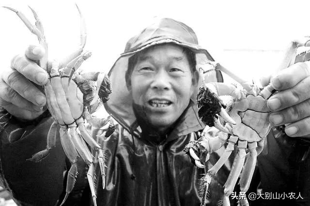 阳澄湖大闸蟹金字招牌,疯狂大闸蟹