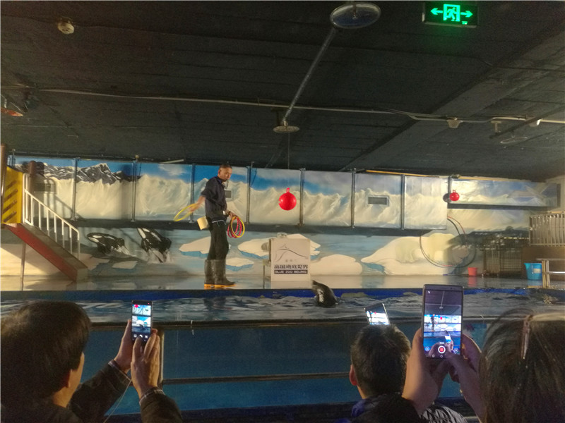 富国海底世界京津冀,游富国海底世界