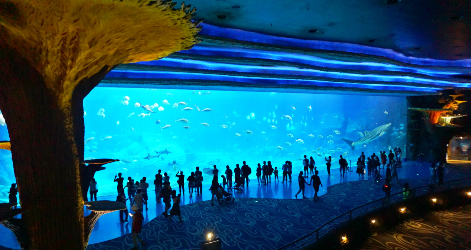 常州恐龙园和珠海长隆哪个好玩,珠海长隆海洋王国好玩吗