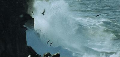 任正非如何度过这短暂的一生,任正非度过充满困难的一生