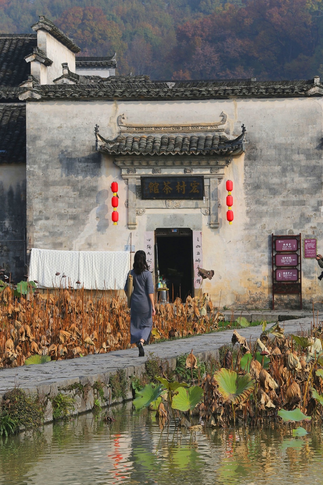 黄山西递宏村简介,西递宏村是一个景点还是两个景点