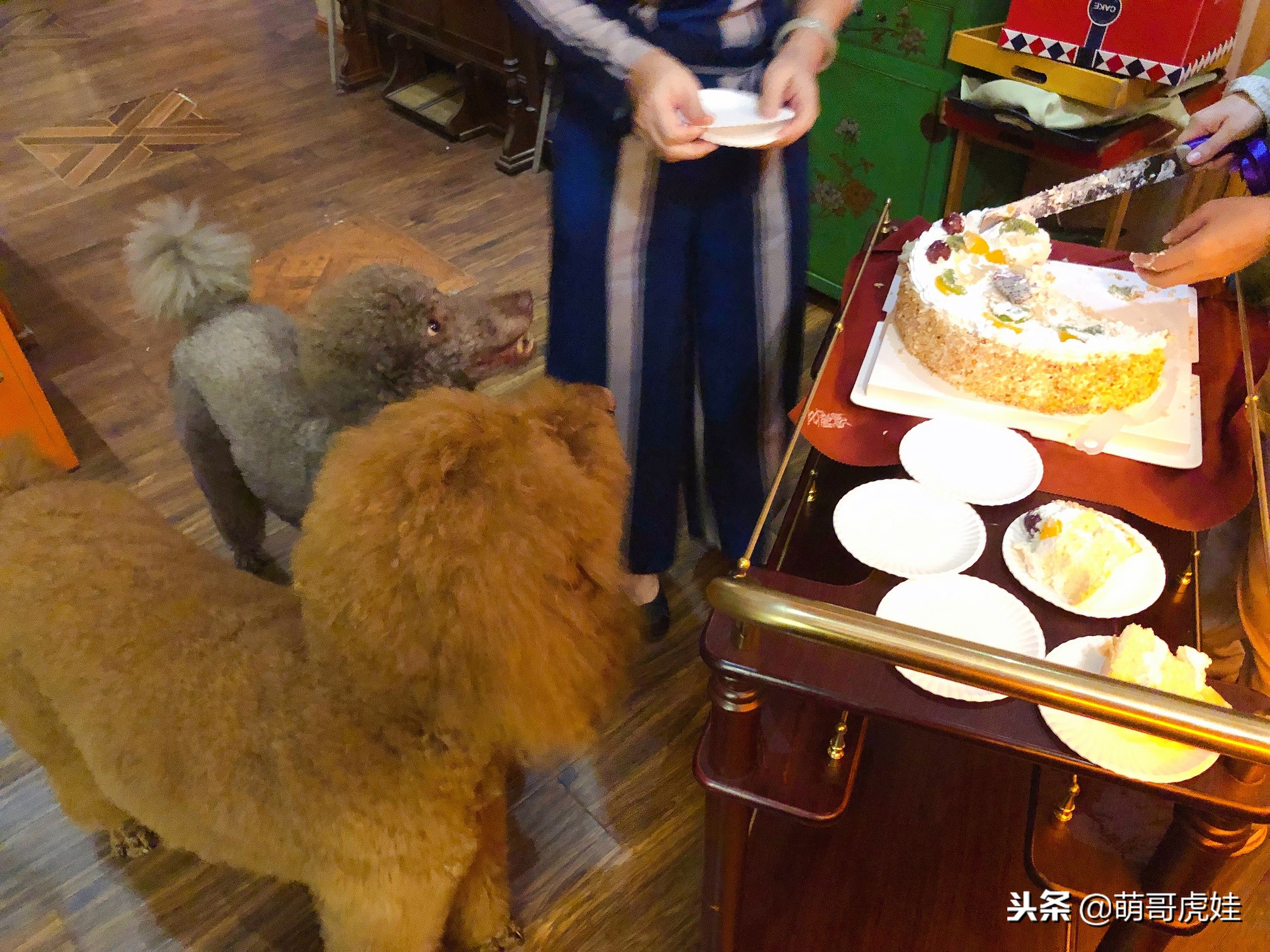 自从养了一只狗偷偷吃东西,自从养了狗偷吃东西都得偷偷摸摸