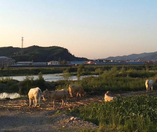 手拍世界手机摄影平台,手拍世界摄影平台