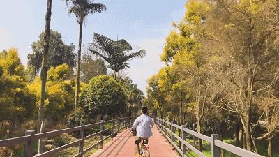 成都最有潜力的花园,成都是个大花园