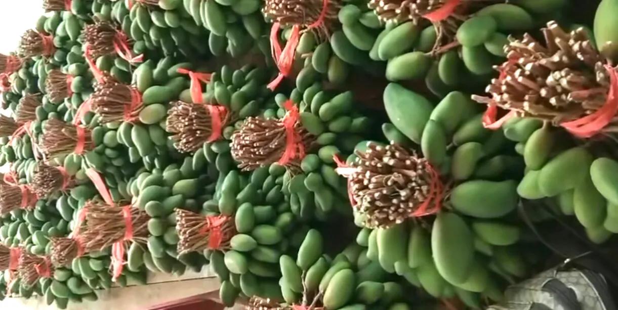 原汁芒果汁怎么做,如何做出美味芒果汁