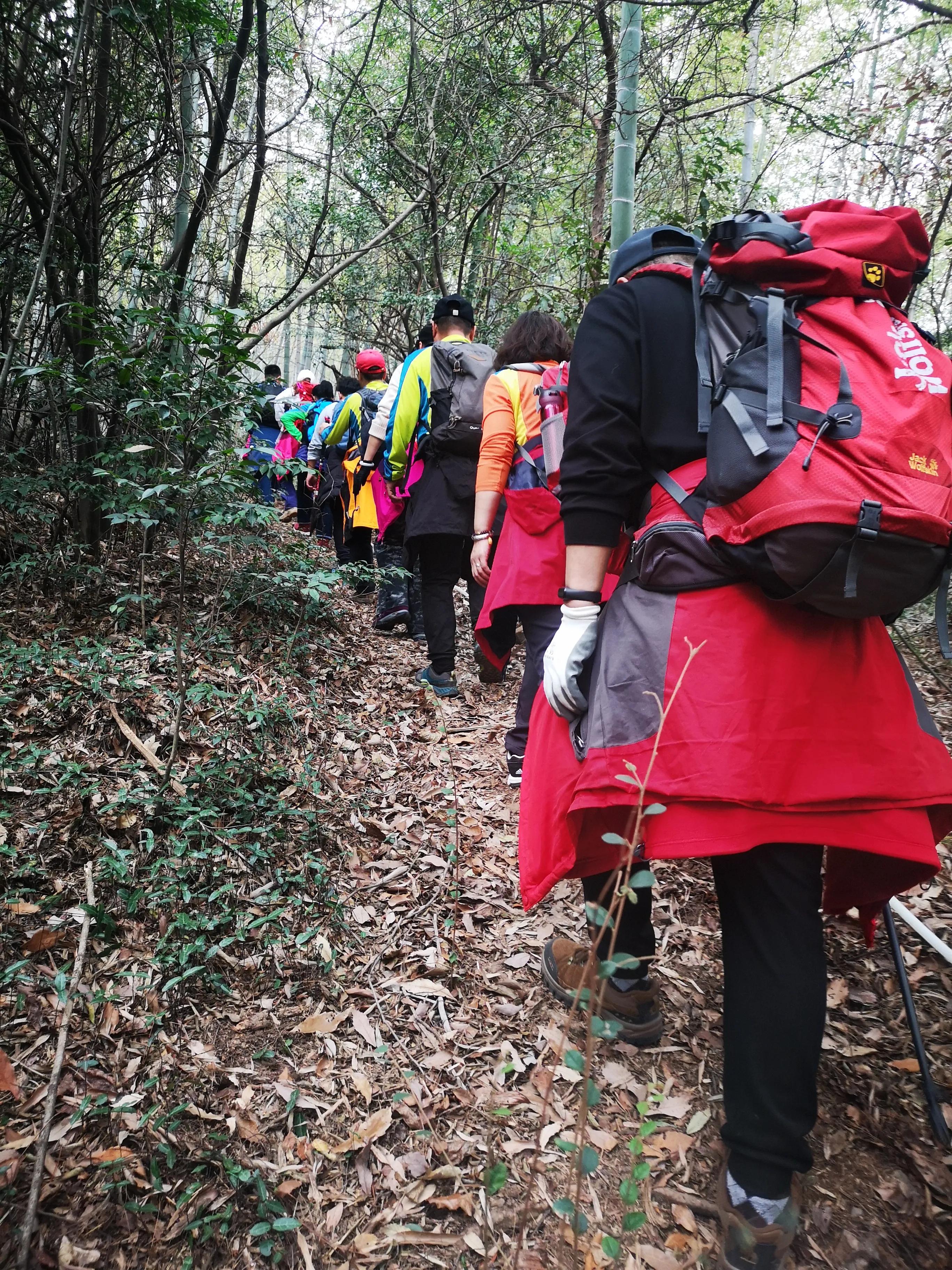 溧阳南山竹海小鸟天堂,宜兴南山竹海和溧阳南山竹海