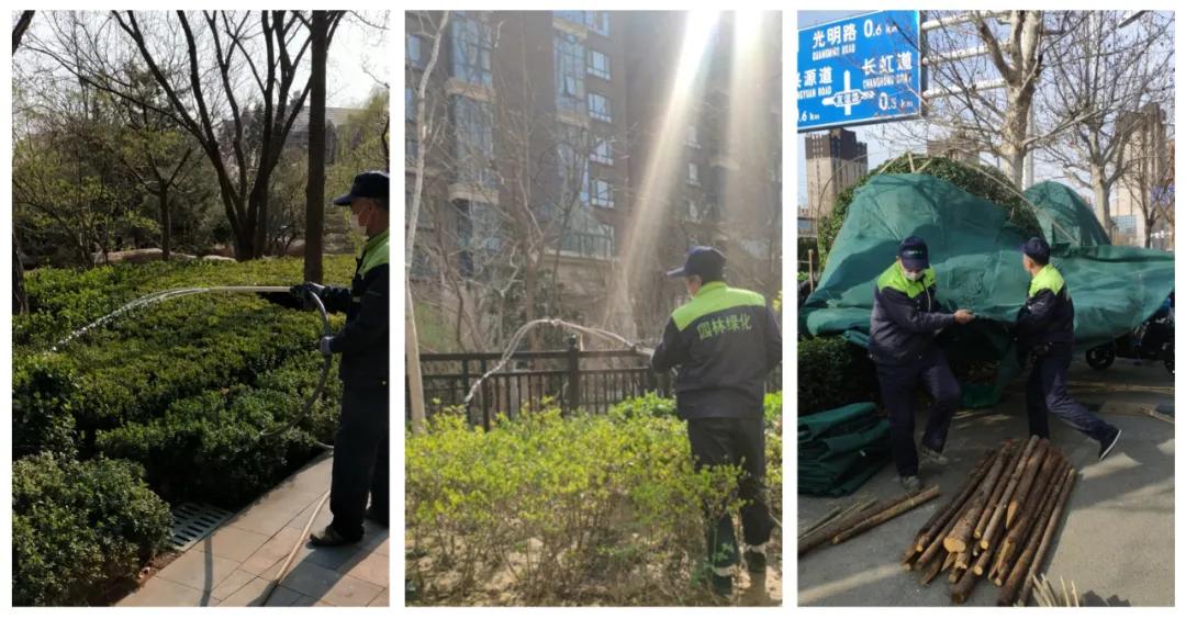 唐城壹零壹物业费多少,唐城壹零壹物业问题